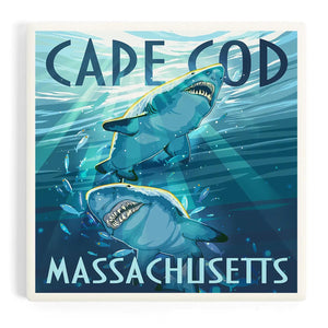 Great White Shark Coaster