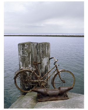 Barnacle Bike