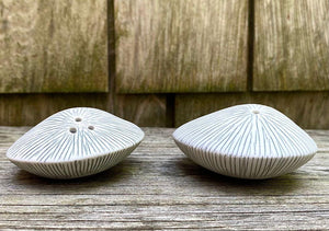 Sea Shell Salt &  Pepper