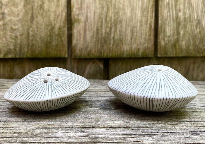 Sea Shell Salt &  Pepper