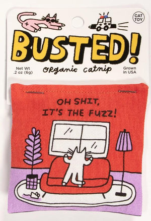 Busted Catnip Pouch