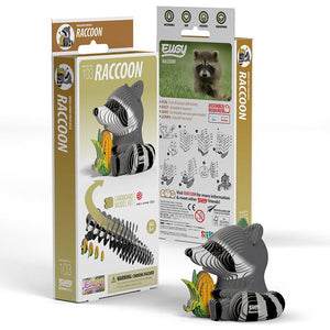 Raccoon Model Kit