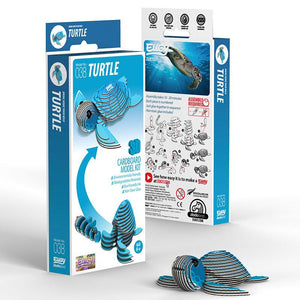 Turtle Model Kit