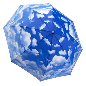 Clear Skies Umbrella