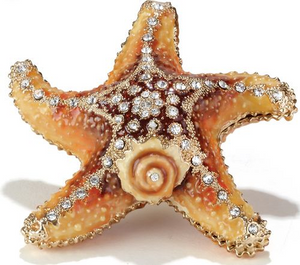 Starfish Box