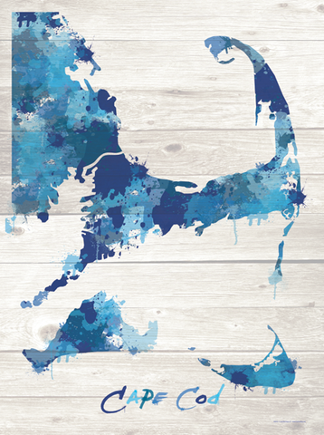 Blue Splatter Cape Cod Print