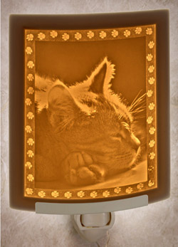 Kitten Dreams Nightlight