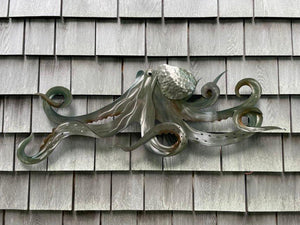 Stainless Steel  Octopus