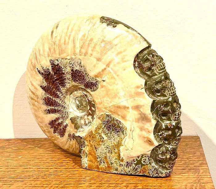 Whole Ammonite with Carved Skulls