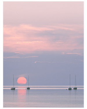 Sun Dipped