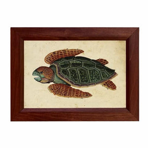 Swimming Turtle Framed Print
